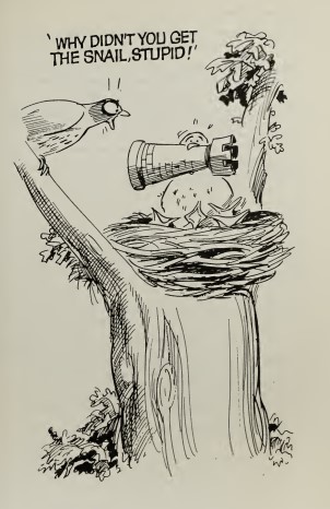 (1943) Pawn to King’s Four